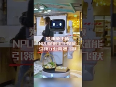 материнская плата с НПУ